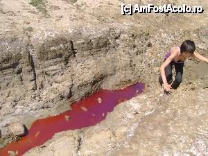 [P10] o apa ciudat de rosie in apropiere de vulcani. Nu am o explicatie rezonabila.  » foto by mateimarian*
 - 
<span class="allrVoted glyphicon glyphicon-heart hidden" id="av399516"></span>
<a class="m-l-10 hidden" id="sv399516" onclick="voting_Foto_DelVot(,399516,3566)" role="button">șterge vot <span class="glyphicon glyphicon-remove"></span></a>
<a id="v9399516" class=" c-red"  onclick="voting_Foto_SetVot(399516)" role="button"><span class="glyphicon glyphicon-heart-empty"></span> <b>LIKE</b> = Votează poza</a> <img class="hidden"  id="f399516W9" src="/imagini/loader.gif" border="0" /><span class="AjErrMes hidden" id="e399516ErM"></span>