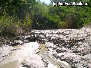 [P04] Abia acum urmeaza MARELE VULCAN » foto by mateimarian*
 - 
<span class="allrVoted glyphicon glyphicon-heart hidden" id="av399510"></span>
<a class="m-l-10 hidden" id="sv399510" onclick="voting_Foto_DelVot(,399510,3566)" role="button">șterge vot <span class="glyphicon glyphicon-remove"></span></a>
<a id="v9399510" class=" c-red"  onclick="voting_Foto_SetVot(399510)" role="button"><span class="glyphicon glyphicon-heart-empty"></span> <b>LIKE</b> = Votează poza</a> <img class="hidden"  id="f399510W9" src="/imagini/loader.gif" border="0" /><span class="AjErrMes hidden" id="e399510ErM"></span>