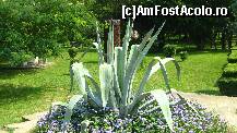 [P23] in parc » foto by cristi82d
 - 
<span class="allrVoted glyphicon glyphicon-heart hidden" id="av110537"></span>
<a class="m-l-10 hidden" id="sv110537" onclick="voting_Foto_DelVot(,110537,3568)" role="button">șterge vot <span class="glyphicon glyphicon-remove"></span></a>
<a id="v9110537" class=" c-red"  onclick="voting_Foto_SetVot(110537)" role="button"><span class="glyphicon glyphicon-heart-empty"></span> <b>LIKE</b> = Votează poza</a> <img class="hidden"  id="f110537W9" src="/imagini/loader.gif" border="0" /><span class="AjErrMes hidden" id="e110537ErM"></span>