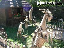 [P07] Capra, iezii si lupul. » foto by cris1982
 - 
<span class="allrVoted glyphicon glyphicon-heart hidden" id="av128276"></span>
<a class="m-l-10 hidden" id="sv128276" onclick="voting_Foto_DelVot(,128276,3571)" role="button">șterge vot <span class="glyphicon glyphicon-remove"></span></a>
<a id="v9128276" class=" c-red"  onclick="voting_Foto_SetVot(128276)" role="button"><span class="glyphicon glyphicon-heart-empty"></span> <b>LIKE</b> = Votează poza</a> <img class="hidden"  id="f128276W9" src="/imagini/loader.gif" border="0" /><span class="AjErrMes hidden" id="e128276ErM"></span>