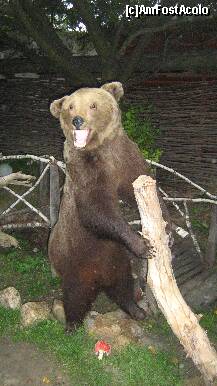 [P14] ursul pacalit de vulpe.....exponat in curtea parcului tematic » foto by cristi82d
 - 
<span class="allrVoted glyphicon glyphicon-heart hidden" id="av143287"></span>
<a class="m-l-10 hidden" id="sv143287" onclick="voting_Foto_DelVot(,143287,3571)" role="button">șterge vot <span class="glyphicon glyphicon-remove"></span></a>
<a id="v9143287" class=" c-red"  onclick="voting_Foto_SetVot(143287)" role="button"><span class="glyphicon glyphicon-heart-empty"></span> <b>LIKE</b> = Votează poza</a> <img class="hidden"  id="f143287W9" src="/imagini/loader.gif" border="0" /><span class="AjErrMes hidden" id="e143287ErM"></span>