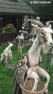 [P28] sceneta -Capra cu trei iezi -de Creanga » foto by cristi82d
 - 
<span class="allrVoted glyphicon glyphicon-heart hidden" id="av143301"></span>
<a class="m-l-10 hidden" id="sv143301" onclick="voting_Foto_DelVot(,143301,3571)" role="button">șterge vot <span class="glyphicon glyphicon-remove"></span></a>
<a id="v9143301" class=" c-red"  onclick="voting_Foto_SetVot(143301)" role="button"><span class="glyphicon glyphicon-heart-empty"></span> <b>LIKE</b> = Votează poza</a> <img class="hidden"  id="f143301W9" src="/imagini/loader.gif" border="0" /><span class="AjErrMes hidden" id="e143301ErM"></span>