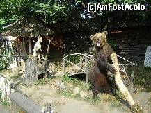 [P03] Casa Memoriala Ion Creanga - Humulesti - personaje din povesti, in parcul tematic - ursul pacalit de vulpe » foto by biancuta
 - 
<span class="allrVoted glyphicon glyphicon-heart hidden" id="av123585"></span>
<a class="m-l-10 hidden" id="sv123585" onclick="voting_Foto_DelVot(,123585,3571)" role="button">șterge vot <span class="glyphicon glyphicon-remove"></span></a>
<a id="v9123585" class=" c-red"  onclick="voting_Foto_SetVot(123585)" role="button"><span class="glyphicon glyphicon-heart-empty"></span> <b>LIKE</b> = Votează poza</a> <img class="hidden"  id="f123585W9" src="/imagini/loader.gif" border="0" /><span class="AjErrMes hidden" id="e123585ErM"></span>