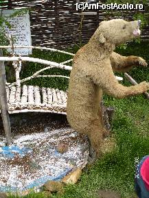 [P10] Ursul pacalit de vulpe » foto by Valentina69
 - 
<span class="allrVoted glyphicon glyphicon-heart hidden" id="av44097"></span>
<a class="m-l-10 hidden" id="sv44097" onclick="voting_Foto_DelVot(,44097,3571)" role="button">șterge vot <span class="glyphicon glyphicon-remove"></span></a>
<a id="v944097" class=" c-red"  onclick="voting_Foto_SetVot(44097)" role="button"><span class="glyphicon glyphicon-heart-empty"></span> <b>LIKE</b> = Votează poza</a> <img class="hidden"  id="f44097W9" src="/imagini/loader.gif" border="0" /><span class="AjErrMes hidden" id="e44097ErM"></span>