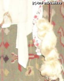 [P01] Furca de tors a Smarandei, acum piesa de muzeu... » foto by corinka
 - 
<span class="allrVoted glyphicon glyphicon-heart hidden" id="av59706"></span>
<a class="m-l-10 hidden" id="sv59706" onclick="voting_Foto_DelVot(,59706,3571)" role="button">șterge vot <span class="glyphicon glyphicon-remove"></span></a>
<a id="v959706" class=" c-red"  onclick="voting_Foto_SetVot(59706)" role="button"><span class="glyphicon glyphicon-heart-empty"></span> <b>LIKE</b> = Votează poza</a> <img class="hidden"  id="f59706W9" src="/imagini/loader.gif" border="0" /><span class="AjErrMes hidden" id="e59706ErM"></span>