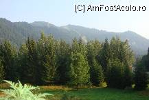[P09] Muntii nostri aur poarta, noi facem turism la 'Inalta Poarta' » foto by creivean
 - 
<span class="allrVoted glyphicon glyphicon-heart hidden" id="av22177"></span>
<a class="m-l-10 hidden" id="sv22177" onclick="voting_Foto_DelVot(,22177,3577)" role="button">șterge vot <span class="glyphicon glyphicon-remove"></span></a>
<a id="v922177" class=" c-red"  onclick="voting_Foto_SetVot(22177)" role="button"><span class="glyphicon glyphicon-heart-empty"></span> <b>LIKE</b> = Votează poza</a> <img class="hidden"  id="f22177W9" src="/imagini/loader.gif" border="0" /><span class="AjErrMes hidden" id="e22177ErM"></span>
