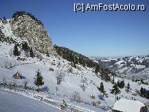 [P13]  -- <small>// FĂRĂ DESCRIERE</small> » foto by crima
 - 
<span class="allrVoted glyphicon glyphicon-heart hidden" id="av22200"></span>
<a class="m-l-10 hidden" id="sv22200" onclick="voting_Foto_DelVot(,22200,3581)" role="button">șterge vot <span class="glyphicon glyphicon-remove"></span></a>
<a id="v922200" class=" c-red"  onclick="voting_Foto_SetVot(22200)" role="button"><span class="glyphicon glyphicon-heart-empty"></span> <b>LIKE</b> = Votează poza</a> <img class="hidden"  id="f22200W9" src="/imagini/loader.gif" border="0" /><span class="AjErrMes hidden" id="e22200ErM"></span>