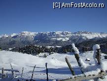 [P16]  -- <small>// FĂRĂ DESCRIERE</small> » foto by crima
 - 
<span class="allrVoted glyphicon glyphicon-heart hidden" id="av22203"></span>
<a class="m-l-10 hidden" id="sv22203" onclick="voting_Foto_DelVot(,22203,3581)" role="button">șterge vot <span class="glyphicon glyphicon-remove"></span></a>
<a id="v922203" class=" c-red"  onclick="voting_Foto_SetVot(22203)" role="button"><span class="glyphicon glyphicon-heart-empty"></span> <b>LIKE</b> = Votează poza</a> <img class="hidden"  id="f22203W9" src="/imagini/loader.gif" border="0" /><span class="AjErrMes hidden" id="e22203ErM"></span>