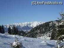 [P17]  -- <small>// FĂRĂ DESCRIERE</small> » foto by crima
 - 
<span class="allrVoted glyphicon glyphicon-heart hidden" id="av22204"></span>
<a class="m-l-10 hidden" id="sv22204" onclick="voting_Foto_DelVot(,22204,3581)" role="button">șterge vot <span class="glyphicon glyphicon-remove"></span></a>
<a id="v922204" class=" c-red"  onclick="voting_Foto_SetVot(22204)" role="button"><span class="glyphicon glyphicon-heart-empty"></span> <b>LIKE</b> = Votează poza</a> <img class="hidden"  id="f22204W9" src="/imagini/loader.gif" border="0" /><span class="AjErrMes hidden" id="e22204ErM"></span>