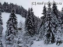 [P03]  -- <small>// FĂRĂ DESCRIERE</small> » foto by crima
 - 
<span class="allrVoted glyphicon glyphicon-heart hidden" id="av22190"></span>
<a class="m-l-10 hidden" id="sv22190" onclick="voting_Foto_DelVot(,22190,3581)" role="button">șterge vot <span class="glyphicon glyphicon-remove"></span></a>
<a id="v922190" class=" c-red"  onclick="voting_Foto_SetVot(22190)" role="button"><span class="glyphicon glyphicon-heart-empty"></span> <b>LIKE</b> = Votează poza</a> <img class="hidden"  id="f22190W9" src="/imagini/loader.gif" border="0" /><span class="AjErrMes hidden" id="e22190ErM"></span>