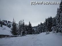 [P04]  -- <small>// FĂRĂ DESCRIERE</small> » foto by crima
 - 
<span class="allrVoted glyphicon glyphicon-heart hidden" id="av22191"></span>
<a class="m-l-10 hidden" id="sv22191" onclick="voting_Foto_DelVot(,22191,3581)" role="button">șterge vot <span class="glyphicon glyphicon-remove"></span></a>
<a id="v922191" class=" c-red"  onclick="voting_Foto_SetVot(22191)" role="button"><span class="glyphicon glyphicon-heart-empty"></span> <b>LIKE</b> = Votează poza</a> <img class="hidden"  id="f22191W9" src="/imagini/loader.gif" border="0" /><span class="AjErrMes hidden" id="e22191ErM"></span>