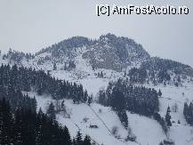 [P06]  -- <small>// FĂRĂ DESCRIERE</small> » foto by crima
 - 
<span class="allrVoted glyphicon glyphicon-heart hidden" id="av22193"></span>
<a class="m-l-10 hidden" id="sv22193" onclick="voting_Foto_DelVot(,22193,3581)" role="button">șterge vot <span class="glyphicon glyphicon-remove"></span></a>
<a id="v922193" class=" c-red"  onclick="voting_Foto_SetVot(22193)" role="button"><span class="glyphicon glyphicon-heart-empty"></span> <b>LIKE</b> = Votează poza</a> <img class="hidden"  id="f22193W9" src="/imagini/loader.gif" border="0" /><span class="AjErrMes hidden" id="e22193ErM"></span>