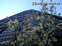 [P12] John Hancock Center in sus. Era mai, ciresii in floare » foto by MCM
 - 
<span class="allrVoted glyphicon glyphicon-heart hidden" id="av390102"></span>
<a class="m-l-10 hidden" id="sv390102" onclick="voting_Foto_DelVot(,390102,3589)" role="button">șterge vot <span class="glyphicon glyphicon-remove"></span></a>
<a id="v9390102" class=" c-red"  onclick="voting_Foto_SetVot(390102)" role="button"><span class="glyphicon glyphicon-heart-empty"></span> <b>LIKE</b> = Votează poza</a> <img class="hidden"  id="f390102W9" src="/imagini/loader.gif" border="0" /><span class="AjErrMes hidden" id="e390102ErM"></span>