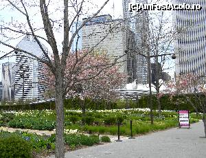[P13] Millennium Park - Lurie Garden » foto by MCM
 - 
<span class="allrVoted glyphicon glyphicon-heart hidden" id="av390169"></span>
<a class="m-l-10 hidden" id="sv390169" onclick="voting_Foto_DelVot(,390169,3589)" role="button">șterge vot <span class="glyphicon glyphicon-remove"></span></a>
<a id="v9390169" class=" c-red"  onclick="voting_Foto_SetVot(390169)" role="button"><span class="glyphicon glyphicon-heart-empty"></span> <b>LIKE</b> = Votează poza</a> <img class="hidden"  id="f390169W9" src="/imagini/loader.gif" border="0" /><span class="AjErrMes hidden" id="e390169ErM"></span>