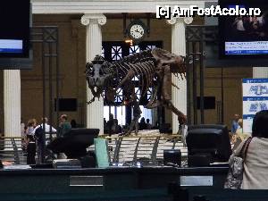[P05] Field Museum - T rex Sue » foto by MCM
 - 
<span class="allrVoted glyphicon glyphicon-heart hidden" id="av390289"></span>
<a class="m-l-10 hidden" id="sv390289" onclick="voting_Foto_DelVot(,390289,3589)" role="button">șterge vot <span class="glyphicon glyphicon-remove"></span></a>
<a id="v9390289" class=" c-red"  onclick="voting_Foto_SetVot(390289)" role="button"><span class="glyphicon glyphicon-heart-empty"></span> <b>LIKE</b> = Votează poza</a> <img class="hidden"  id="f390289W9" src="/imagini/loader.gif" border="0" /><span class="AjErrMes hidden" id="e390289ErM"></span>
