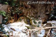 [P13] Muzeul de Stiinte Naturale de la Valenii de Munte » foto by cristinadumitru*
 - 
<span class="allrVoted glyphicon glyphicon-heart hidden" id="av22506"></span>
<a class="m-l-10 hidden" id="sv22506" onclick="voting_Foto_DelVot(,22506,3607)" role="button">șterge vot <span class="glyphicon glyphicon-remove"></span></a>
<a id="v922506" class=" c-red"  onclick="voting_Foto_SetVot(22506)" role="button"><span class="glyphicon glyphicon-heart-empty"></span> <b>LIKE</b> = Votează poza</a> <img class="hidden"  id="f22506W9" src="/imagini/loader.gif" border="0" /><span class="AjErrMes hidden" id="e22506ErM"></span>