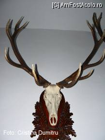 [P15] Muzeul de Stiinte Naturale de la Valenii de Munte » foto by cristinadumitru*
 - 
<span class="allrVoted glyphicon glyphicon-heart hidden" id="av22508"></span>
<a class="m-l-10 hidden" id="sv22508" onclick="voting_Foto_DelVot(,22508,3607)" role="button">șterge vot <span class="glyphicon glyphicon-remove"></span></a>
<a id="v922508" class=" c-red"  onclick="voting_Foto_SetVot(22508)" role="button"><span class="glyphicon glyphicon-heart-empty"></span> <b>LIKE</b> = Votează poza</a> <img class="hidden"  id="f22508W9" src="/imagini/loader.gif" border="0" /><span class="AjErrMes hidden" id="e22508ErM"></span>