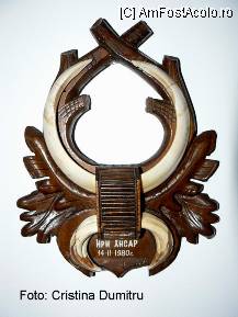 [P16] Muzeul de Stiinte Naturale de la Valenii de Munte - colti de mistret » foto by cristinadumitru*
 - 
<span class="allrVoted glyphicon glyphicon-heart hidden" id="av22509"></span>
<a class="m-l-10 hidden" id="sv22509" onclick="voting_Foto_DelVot(,22509,3607)" role="button">șterge vot <span class="glyphicon glyphicon-remove"></span></a>
<a id="v922509" class=" c-red"  onclick="voting_Foto_SetVot(22509)" role="button"><span class="glyphicon glyphicon-heart-empty"></span> <b>LIKE</b> = Votează poza</a> <img class="hidden"  id="f22509W9" src="/imagini/loader.gif" border="0" /><span class="AjErrMes hidden" id="e22509ErM"></span>