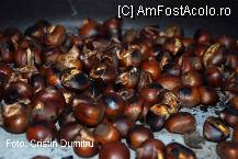 [P23] Festivalul Tuicii la Valenii de Munte » foto by cristinadumitru*
 - 
<span class="allrVoted glyphicon glyphicon-heart hidden" id="av22516"></span>
<a class="m-l-10 hidden" id="sv22516" onclick="voting_Foto_DelVot(,22516,3607)" role="button">șterge vot <span class="glyphicon glyphicon-remove"></span></a>
<a id="v922516" class=" c-red"  onclick="voting_Foto_SetVot(22516)" role="button"><span class="glyphicon glyphicon-heart-empty"></span> <b>LIKE</b> = Votează poza</a> <img class="hidden"  id="f22516W9" src="/imagini/loader.gif" border="0" /><span class="AjErrMes hidden" id="e22516ErM"></span>