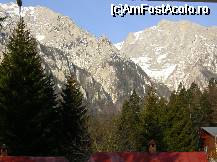[P11]  -- <small>// FĂRĂ DESCRIERE</small> » foto by geni
 - 
<span class="allrVoted glyphicon glyphicon-heart hidden" id="av22560"></span>
<a class="m-l-10 hidden" id="sv22560" onclick="voting_Foto_DelVot(,22560,3608)" role="button">șterge vot <span class="glyphicon glyphicon-remove"></span></a>
<a id="v922560" class=" c-red"  onclick="voting_Foto_SetVot(22560)" role="button"><span class="glyphicon glyphicon-heart-empty"></span> <b>LIKE</b> = Votează poza</a> <img class="hidden"  id="f22560W9" src="/imagini/loader.gif" border="0" /><span class="AjErrMes hidden" id="e22560ErM"></span>
