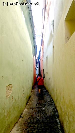 [P13] Strada Sforii » foto by noi doi
 - 
<span class="allrVoted glyphicon glyphicon-heart hidden" id="av773906"></span>
<a class="m-l-10 hidden" id="sv773906" onclick="voting_Foto_DelVot(,773906,3615)" role="button">șterge vot <span class="glyphicon glyphicon-remove"></span></a>
<a id="v9773906" class=" c-red"  onclick="voting_Foto_SetVot(773906)" role="button"><span class="glyphicon glyphicon-heart-empty"></span> <b>LIKE</b> = Votează poza</a> <img class="hidden"  id="f773906W9" src="/imagini/loader.gif" border="0" /><span class="AjErrMes hidden" id="e773906ErM"></span>