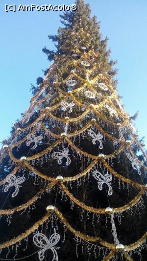 [P23] Marele brad de Craciun din Piata Sfatului.  » foto by dorgo
 - 
<span class="allrVoted glyphicon glyphicon-heart hidden" id="av1048497"></span>
<a class="m-l-10 hidden" id="sv1048497" onclick="voting_Foto_DelVot(,1048497,3615)" role="button">șterge vot <span class="glyphicon glyphicon-remove"></span></a>
<a id="v91048497" class=" c-red"  onclick="voting_Foto_SetVot(1048497)" role="button"><span class="glyphicon glyphicon-heart-empty"></span> <b>LIKE</b> = Votează poza</a> <img class="hidden"  id="f1048497W9" src="/imagini/loader.gif" border="0" /><span class="AjErrMes hidden" id="e1048497ErM"></span>