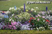 [P23] La Versailles sunt şi multe flori... » foto by Ovidiu istorie
 - 
<span class="allrVoted glyphicon glyphicon-heart hidden" id="av317194"></span>
<a class="m-l-10 hidden" id="sv317194" onclick="voting_Foto_DelVot(,317194,3618)" role="button">șterge vot <span class="glyphicon glyphicon-remove"></span></a>
<a id="v9317194" class=" c-red"  onclick="voting_Foto_SetVot(317194)" role="button"><span class="glyphicon glyphicon-heart-empty"></span> <b>LIKE</b> = Votează poza</a> <img class="hidden"  id="f317194W9" src="/imagini/loader.gif" border="0" /><span class="AjErrMes hidden" id="e317194ErM"></span>