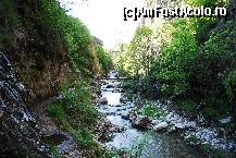 [P10] Frumos, nu-i asa? » foto by elena_iasi
 - 
<span class="allrVoted glyphicon glyphicon-heart hidden" id="av323184"></span>
<a class="m-l-10 hidden" id="sv323184" onclick="voting_Foto_DelVot(,323184,3623)" role="button">șterge vot <span class="glyphicon glyphicon-remove"></span></a>
<a id="v9323184" class=" c-red"  onclick="voting_Foto_SetVot(323184)" role="button"><span class="glyphicon glyphicon-heart-empty"></span> <b>LIKE</b> = Votează poza</a> <img class="hidden"  id="f323184W9" src="/imagini/loader.gif" border="0" /><span class="AjErrMes hidden" id="e323184ErM"></span>