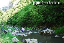 [P12] Am vrut si eu sa trec raul, dar n-am reusit » foto by elena_iasi
 - 
<span class="allrVoted glyphicon glyphicon-heart hidden" id="av323186"></span>
<a class="m-l-10 hidden" id="sv323186" onclick="voting_Foto_DelVot(,323186,3623)" role="button">șterge vot <span class="glyphicon glyphicon-remove"></span></a>
<a id="v9323186" class=" c-red"  onclick="voting_Foto_SetVot(323186)" role="button"><span class="glyphicon glyphicon-heart-empty"></span> <b>LIKE</b> = Votează poza</a> <img class="hidden"  id="f323186W9" src="/imagini/loader.gif" border="0" /><span class="AjErrMes hidden" id="e323186ErM"></span>