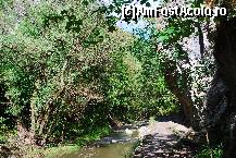 [P07] Raul Hasdate » foto by elena_iasi
 - 
<span class="allrVoted glyphicon glyphicon-heart hidden" id="av323181"></span>
<a class="m-l-10 hidden" id="sv323181" onclick="voting_Foto_DelVot(,323181,3623)" role="button">șterge vot <span class="glyphicon glyphicon-remove"></span></a>
<a id="v9323181" class=" c-red"  onclick="voting_Foto_SetVot(323181)" role="button"><span class="glyphicon glyphicon-heart-empty"></span> <b>LIKE</b> = Votează poza</a> <img class="hidden"  id="f323181W9" src="/imagini/loader.gif" border="0" /><span class="AjErrMes hidden" id="e323181ErM"></span>