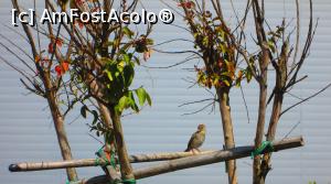 [P05] O vrabiuta de Turda.  » foto by vulpe mihaela
 - 
<span class="allrVoted glyphicon glyphicon-heart hidden" id="av896912"></span>
<a class="m-l-10 hidden" id="sv896912" onclick="voting_Foto_DelVot(,896912,3623)" role="button">șterge vot <span class="glyphicon glyphicon-remove"></span></a>
<a id="v9896912" class=" c-red"  onclick="voting_Foto_SetVot(896912)" role="button"><span class="glyphicon glyphicon-heart-empty"></span> <b>LIKE</b> = Votează poza</a> <img class="hidden"  id="f896912W9" src="/imagini/loader.gif" border="0" /><span class="AjErrMes hidden" id="e896912ErM"></span>