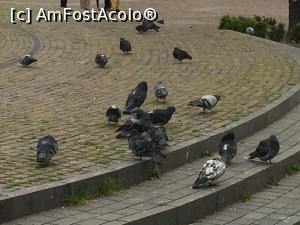 [P11] porumbei in Poata Avram Iancu » foto by Dan&Ema
 - 
<span class="allrVoted glyphicon glyphicon-heart hidden" id="av732571"></span>
<a class="m-l-10 hidden" id="sv732571" onclick="voting_Foto_DelVot(,732571,3623)" role="button">șterge vot <span class="glyphicon glyphicon-remove"></span></a>
<a id="v9732571" class=" c-red"  onclick="voting_Foto_SetVot(732571)" role="button"><span class="glyphicon glyphicon-heart-empty"></span> <b>LIKE</b> = Votează poza</a> <img class="hidden"  id="f732571W9" src="/imagini/loader.gif" border="0" /><span class="AjErrMes hidden" id="e732571ErM"></span>