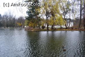 [P02] Parcul Simion Bărnuțiu Cluj-insuliță și rațe » foto by AZE
 - 
<span class="allrVoted glyphicon glyphicon-heart hidden" id="av927274"></span>
<a class="m-l-10 hidden" id="sv927274" onclick="voting_Foto_DelVot(,927274,3623)" role="button">șterge vot <span class="glyphicon glyphicon-remove"></span></a>
<a id="v9927274" class=" c-red"  onclick="voting_Foto_SetVot(927274)" role="button"><span class="glyphicon glyphicon-heart-empty"></span> <b>LIKE</b> = Votează poza</a> <img class="hidden"  id="f927274W9" src="/imagini/loader.gif" border="0" /><span class="AjErrMes hidden" id="e927274ErM"></span>