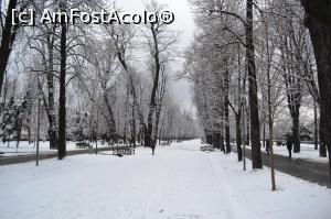 [P39] Parcul central Cluj » foto by AZE
 - 
<span class="allrVoted glyphicon glyphicon-heart hidden" id="av940837"></span>
<a class="m-l-10 hidden" id="sv940837" onclick="voting_Foto_DelVot(,940837,3623)" role="button">șterge vot <span class="glyphicon glyphicon-remove"></span></a>
<a id="v9940837" class=" c-red"  onclick="voting_Foto_SetVot(940837)" role="button"><span class="glyphicon glyphicon-heart-empty"></span> <b>LIKE</b> = Votează poza</a> <img class="hidden"  id="f940837W9" src="/imagini/loader.gif" border="0" /><span class="AjErrMes hidden" id="e940837ErM"></span>