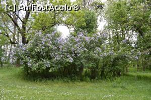 [P13]  -- <small>// FĂRĂ DESCRIERE</small> » foto by AZE
 - 
<span class="allrVoted glyphicon glyphicon-heart hidden" id="av963747"></span>
<a class="m-l-10 hidden" id="sv963747" onclick="voting_Foto_DelVot(,963747,3623)" role="button">șterge vot <span class="glyphicon glyphicon-remove"></span></a>
<a id="v9963747" class=" c-red"  onclick="voting_Foto_SetVot(963747)" role="button"><span class="glyphicon glyphicon-heart-empty"></span> <b>LIKE</b> = Votează poza</a> <img class="hidden"  id="f963747W9" src="/imagini/loader.gif" border="0" /><span class="AjErrMes hidden" id="e963747ErM"></span>