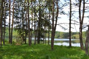 [P28] Lacul Gilau » foto by AZE
 - 
<span class="allrVoted glyphicon glyphicon-heart hidden" id="av963762"></span>
<a class="m-l-10 hidden" id="sv963762" onclick="voting_Foto_DelVot(,963762,3623)" role="button">șterge vot <span class="glyphicon glyphicon-remove"></span></a>
<a id="v9963762" class=" c-red"  onclick="voting_Foto_SetVot(963762)" role="button"><span class="glyphicon glyphicon-heart-empty"></span> <b>LIKE</b> = Votează poza</a> <img class="hidden"  id="f963762W9" src="/imagini/loader.gif" border="0" /><span class="AjErrMes hidden" id="e963762ErM"></span>