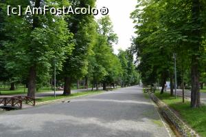 [P13] Aleea principală » foto by AZE
 - 
<span class="allrVoted glyphicon glyphicon-heart hidden" id="av1010265"></span>
<a class="m-l-10 hidden" id="sv1010265" onclick="voting_Foto_DelVot(,1010265,3623)" role="button">șterge vot <span class="glyphicon glyphicon-remove"></span></a>
<a id="v91010265" class=" c-red"  onclick="voting_Foto_SetVot(1010265)" role="button"><span class="glyphicon glyphicon-heart-empty"></span> <b>LIKE</b> = Votează poza</a> <img class="hidden"  id="f1010265W9" src="/imagini/loader.gif" border="0" /><span class="AjErrMes hidden" id="e1010265ErM"></span>