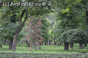 [P41] Parcul Central » foto by AZE
 - 
<span class="allrVoted glyphicon glyphicon-heart hidden" id="av1010293"></span>
<a class="m-l-10 hidden" id="sv1010293" onclick="voting_Foto_DelVot(,1010293,3623)" role="button">șterge vot <span class="glyphicon glyphicon-remove"></span></a>
<a id="v91010293" class=" c-red"  onclick="voting_Foto_SetVot(1010293)" role="button"><span class="glyphicon glyphicon-heart-empty"></span> <b>LIKE</b> = Votează poza</a> <img class="hidden"  id="f1010293W9" src="/imagini/loader.gif" border="0" /><span class="AjErrMes hidden" id="e1010293ErM"></span>
