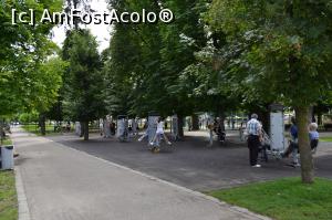 [P07] Aparate de gimnastică în aer liber » foto by AZE
 - 
<span class="allrVoted glyphicon glyphicon-heart hidden" id="av1010259"></span>
<a class="m-l-10 hidden" id="sv1010259" onclick="voting_Foto_DelVot(,1010259,3623)" role="button">șterge vot <span class="glyphicon glyphicon-remove"></span></a>
<a id="v91010259" class=" c-red"  onclick="voting_Foto_SetVot(1010259)" role="button"><span class="glyphicon glyphicon-heart-empty"></span> <b>LIKE</b> = Votează poza</a> <img class="hidden"  id="f1010259W9" src="/imagini/loader.gif" border="0" /><span class="AjErrMes hidden" id="e1010259ErM"></span>