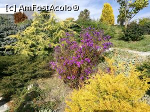 [P23] Culori de toamnă la Sun Garden » foto by crismis
 - 
<span class="allrVoted glyphicon glyphicon-heart hidden" id="av812909"></span>
<a class="m-l-10 hidden" id="sv812909" onclick="voting_Foto_DelVot(,812909,3623)" role="button">șterge vot <span class="glyphicon glyphicon-remove"></span></a>
<a id="v9812909" class=" c-red"  onclick="voting_Foto_SetVot(812909)" role="button"><span class="glyphicon glyphicon-heart-empty"></span> <b>LIKE</b> = Votează poza</a> <img class="hidden"  id="f812909W9" src="/imagini/loader.gif" border="0" /><span class="AjErrMes hidden" id="e812909ErM"></span>