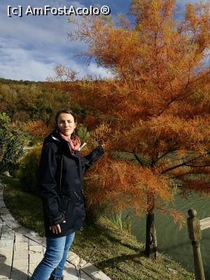 [P25] Istețica la Sun Garden » foto by crismis
 - 
<span class="allrVoted glyphicon glyphicon-heart hidden" id="av812911"></span>
<a class="m-l-10 hidden" id="sv812911" onclick="voting_Foto_DelVot(,812911,3623)" role="button">șterge vot <span class="glyphicon glyphicon-remove"></span></a>
<a id="v9812911" class=" c-red"  onclick="voting_Foto_SetVot(812911)" role="button"><span class="glyphicon glyphicon-heart-empty"></span> <b>LIKE</b> = Votează poza</a> <img class="hidden"  id="f812911W9" src="/imagini/loader.gif" border="0" /><span class="AjErrMes hidden" id="e812911ErM"></span>