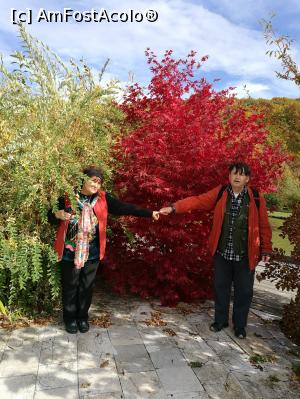 [P26] NAZA și Zaha reînnoindu-și jurămintele în decorul fabulos al toamnei » foto by crismis
 - 
<span class="allrVoted glyphicon glyphicon-heart hidden" id="av812912"></span>
<a class="m-l-10 hidden" id="sv812912" onclick="voting_Foto_DelVot(,812912,3623)" role="button">șterge vot <span class="glyphicon glyphicon-remove"></span></a>
<a id="v9812912" class=" c-red"  onclick="voting_Foto_SetVot(812912)" role="button"><span class="glyphicon glyphicon-heart-empty"></span> <b>LIKE</b> = Votează poza</a> <img class="hidden"  id="f812912W9" src="/imagini/loader.gif" border="0" /><span class="AjErrMes hidden" id="e812912ErM"></span>