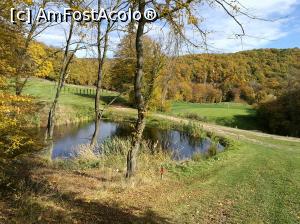 [P36] Lacul lui Eminescu » foto by crismis
 - 
<span class="allrVoted glyphicon glyphicon-heart hidden" id="av812922"></span>
<a class="m-l-10 hidden" id="sv812922" onclick="voting_Foto_DelVot(,812922,3623)" role="button">șterge vot <span class="glyphicon glyphicon-remove"></span></a>
<a id="v9812922" class=" c-red"  onclick="voting_Foto_SetVot(812922)" role="button"><span class="glyphicon glyphicon-heart-empty"></span> <b>LIKE</b> = Votează poza</a> <img class="hidden"  id="f812922W9" src="/imagini/loader.gif" border="0" /><span class="AjErrMes hidden" id="e812922ErM"></span>