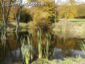 [P37] Lacul lui Eminescu » foto by crismis
 - 
<span class="allrVoted glyphicon glyphicon-heart hidden" id="av812923"></span>
<a class="m-l-10 hidden" id="sv812923" onclick="voting_Foto_DelVot(,812923,3623)" role="button">șterge vot <span class="glyphicon glyphicon-remove"></span></a>
<a id="v9812923" class=" c-red"  onclick="voting_Foto_SetVot(812923)" role="button"><span class="glyphicon glyphicon-heart-empty"></span> <b>LIKE</b> = Votează poza</a> <img class="hidden"  id="f812923W9" src="/imagini/loader.gif" border="0" /><span class="AjErrMes hidden" id="e812923ErM"></span>