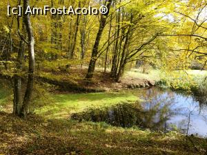 [P41] Sun Garden » foto by crismis
 - 
<span class="allrVoted glyphicon glyphicon-heart hidden" id="av812927"></span>
<a class="m-l-10 hidden" id="sv812927" onclick="voting_Foto_DelVot(,812927,3623)" role="button">șterge vot <span class="glyphicon glyphicon-remove"></span></a>
<a id="v9812927" class=" c-red"  onclick="voting_Foto_SetVot(812927)" role="button"><span class="glyphicon glyphicon-heart-empty"></span> <b>LIKE</b> = Votează poza</a> <img class="hidden"  id="f812927W9" src="/imagini/loader.gif" border="0" /><span class="AjErrMes hidden" id="e812927ErM"></span>