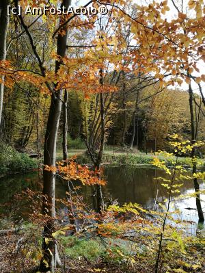 [P42] Lacul Sălbatic » foto by crismis
 - 
<span class="allrVoted glyphicon glyphicon-heart hidden" id="av812928"></span>
<a class="m-l-10 hidden" id="sv812928" onclick="voting_Foto_DelVot(,812928,3623)" role="button">șterge vot <span class="glyphicon glyphicon-remove"></span></a>
<a id="v9812928" class=" c-red"  onclick="voting_Foto_SetVot(812928)" role="button"><span class="glyphicon glyphicon-heart-empty"></span> <b>LIKE</b> = Votează poza</a> <img class="hidden"  id="f812928W9" src="/imagini/loader.gif" border="0" /><span class="AjErrMes hidden" id="e812928ErM"></span>