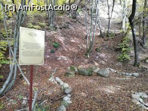 [P43] Masa Tăcerii » foto by crismis
 - 
<span class="allrVoted glyphicon glyphicon-heart hidden" id="av812929"></span>
<a class="m-l-10 hidden" id="sv812929" onclick="voting_Foto_DelVot(,812929,3623)" role="button">șterge vot <span class="glyphicon glyphicon-remove"></span></a>
<a id="v9812929" class=" c-red"  onclick="voting_Foto_SetVot(812929)" role="button"><span class="glyphicon glyphicon-heart-empty"></span> <b>LIKE</b> = Votează poza</a> <img class="hidden"  id="f812929W9" src="/imagini/loader.gif" border="0" /><span class="AjErrMes hidden" id="e812929ErM"></span>