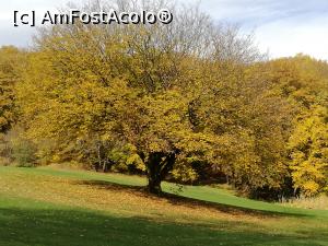 [P46] Sun Garden » foto by crismis
 - 
<span class="allrVoted glyphicon glyphicon-heart hidden" id="av812932"></span>
<a class="m-l-10 hidden" id="sv812932" onclick="voting_Foto_DelVot(,812932,3623)" role="button">șterge vot <span class="glyphicon glyphicon-remove"></span></a>
<a id="v9812932" class=" c-red"  onclick="voting_Foto_SetVot(812932)" role="button"><span class="glyphicon glyphicon-heart-empty"></span> <b>LIKE</b> = Votează poza</a> <img class="hidden"  id="f812932W9" src="/imagini/loader.gif" border="0" /><span class="AjErrMes hidden" id="e812932ErM"></span>