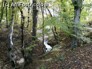 [P47] Un pârâiaș » foto by crismis
 - 
<span class="allrVoted glyphicon glyphicon-heart hidden" id="av812933"></span>
<a class="m-l-10 hidden" id="sv812933" onclick="voting_Foto_DelVot(,812933,3623)" role="button">șterge vot <span class="glyphicon glyphicon-remove"></span></a>
<a id="v9812933" class=" c-red"  onclick="voting_Foto_SetVot(812933)" role="button"><span class="glyphicon glyphicon-heart-empty"></span> <b>LIKE</b> = Votează poza</a> <img class="hidden"  id="f812933W9" src="/imagini/loader.gif" border="0" /><span class="AjErrMes hidden" id="e812933ErM"></span>