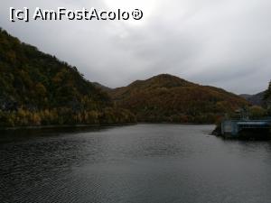 [P59] Lacul Tarnița » foto by crismis
 - 
<span class="allrVoted glyphicon glyphicon-heart hidden" id="av812945"></span>
<a class="m-l-10 hidden" id="sv812945" onclick="voting_Foto_DelVot(,812945,3623)" role="button">șterge vot <span class="glyphicon glyphicon-remove"></span></a>
<a id="v9812945" class=" c-red"  onclick="voting_Foto_SetVot(812945)" role="button"><span class="glyphicon glyphicon-heart-empty"></span> <b>LIKE</b> = Votează poza</a> <img class="hidden"  id="f812945W9" src="/imagini/loader.gif" border="0" /><span class="AjErrMes hidden" id="e812945ErM"></span>